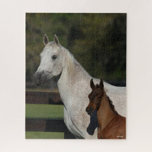 Bob Langrish Arab Mare and Foal headshot Jigsaw Puzzle