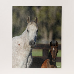 Bob Langrish Arab Mare and Foal Standing Headshot Jigsaw Puzzle