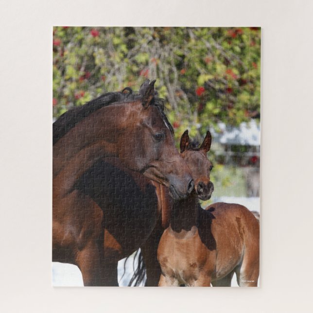 Bob Langrish | Arab Mare and Foal Standing Jigsaw Puzzle (Vertical)