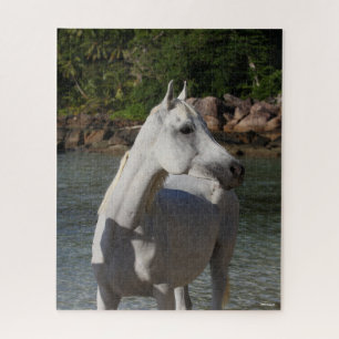 Bob Langrish Arab Mare Standing In Water Headshot Jigsaw Puzzle
