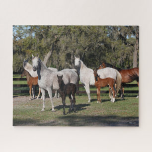 Bob Langrish Arab Mares and Foals Standing Jigsaw Puzzle