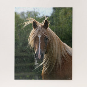 Bob Langrish Arab Stallion Headshot Jigsaw Puzzle