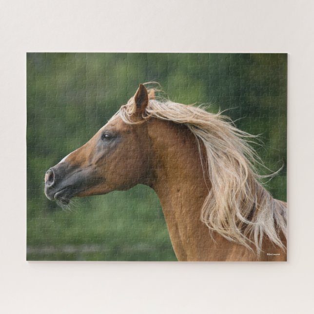 Bob Langrish | Arab Stallion headshot Mane Flowing Jigsaw Puzzle (Horizontal)