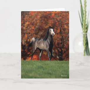 Bob Langrish   Arab Standing Autumn Background Card