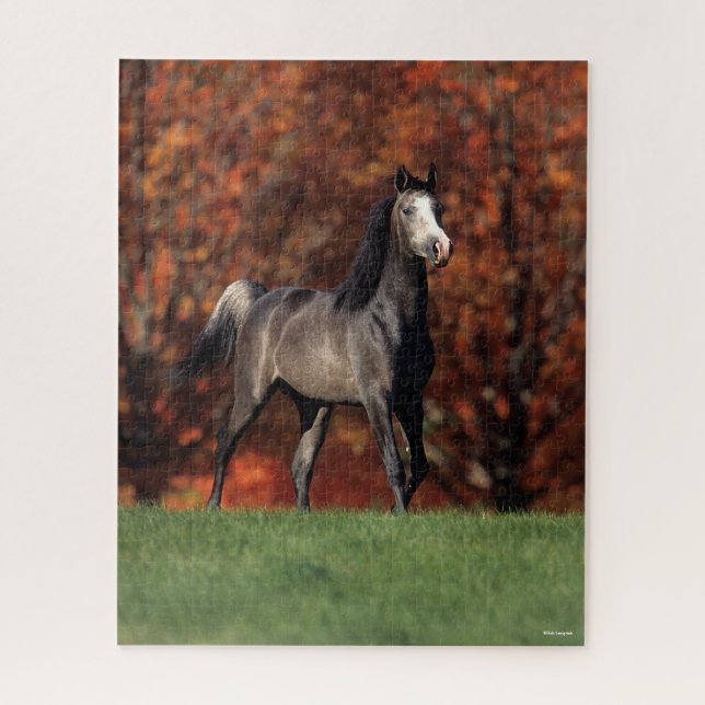 Bob Langrish | Arab Standing Autumn Background Jigsaw Puzzle (Vertical)
