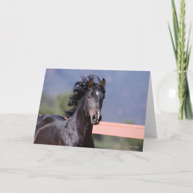 Bob Langrish | Back Andalucian Headshot Card (Front)