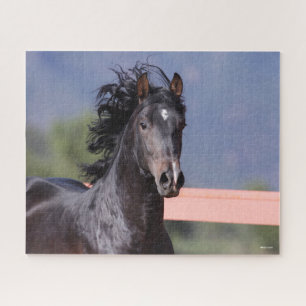 Bob Langrish   Back Andalucian Headshot Jigsaw Puzzle