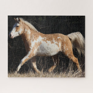 Bob Langrish Bashkir Curly Horse Stallion Walking Jigsaw Puzzle