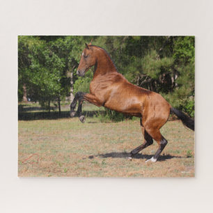 Bob Langrish Bay Akhal Teke Stallion Rearing Jigsaw Puzzle