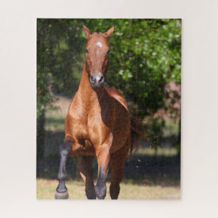 Bob Langrish Bay Akhal Teke Standing Jigsaw Puzzle