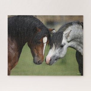 Bob Langrish   Bay and Grey Welsh Ponies Meeting Jigsaw Puzzle
