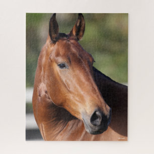 Bob Langrish   Bay Andalucian Headshot Jigsaw Puzzle