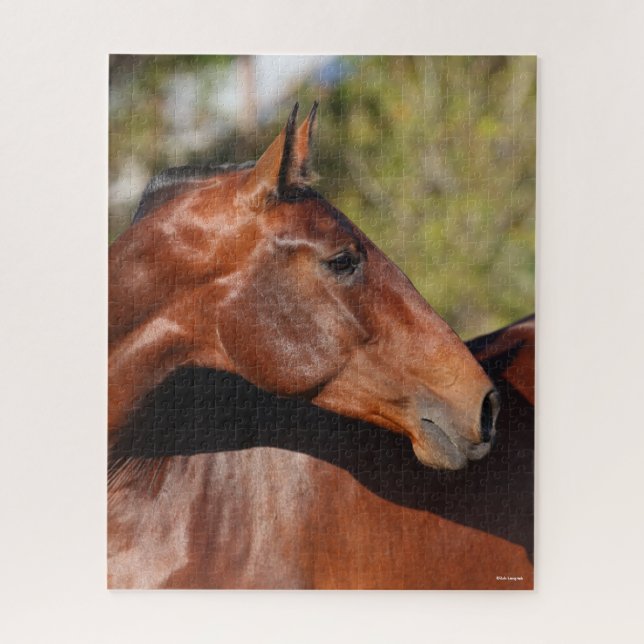 Bob Langrish | Bay Andalucian Headshot Jigsaw Puzzle (Vertical)