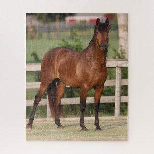 Bob Langrish Bay Andalucian Standing Jigsaw Puzzle