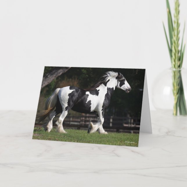 Bob Langrish Black and White Gypsy Vanner Walking Card (Front)