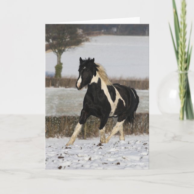 Bob Langrish Black and White Welsh Cob In The Snow Card (Front)