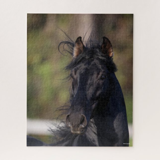 Bob Langrish | Black Andalucian Stallion Headshot Jigsaw Puzzle (Vertical)
