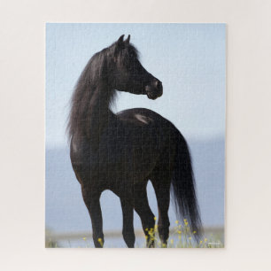 Bob Langrish Black Arab Stallion Standing Jigsaw Puzzle