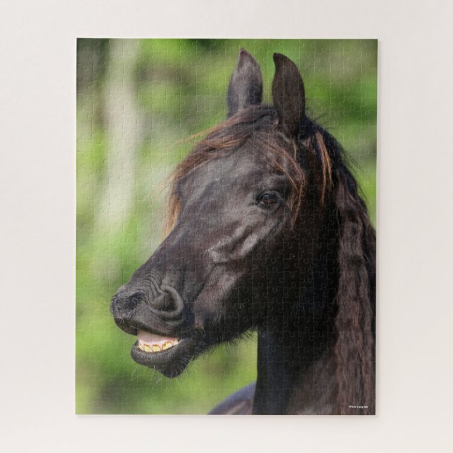 Bob Langrish | Black Friesian Flehmen Headshot Jigsaw Puzzle (Vertical)