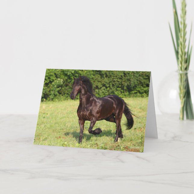 Bob Langrish | Black Friesian Horse Running Card (Front)