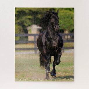 Bob Langrish   Black Friesian Horse Running Jigsaw Puzzle