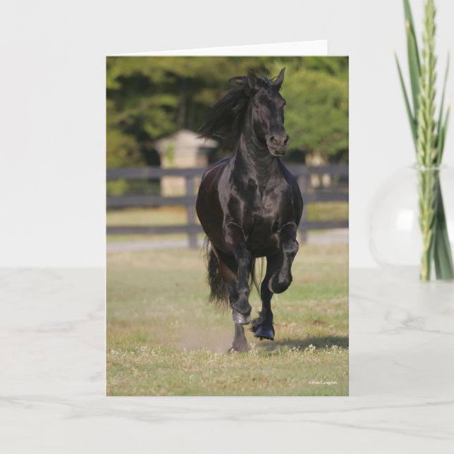 Bob Langrish | Black Friesian Mare Running Card (Front)