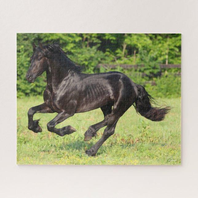 Bob Langrish | Black Friesian Running Jigsaw Puzzle (Horizontal)