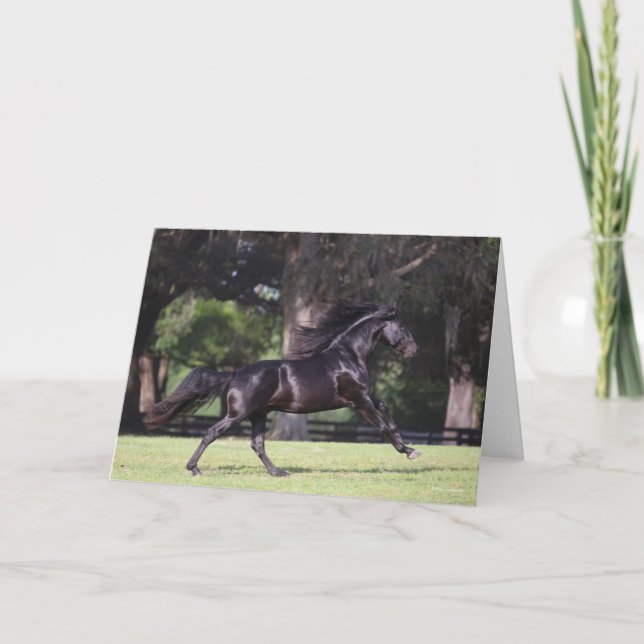Bob Langrish | Black Lusitano Running Card (Front)