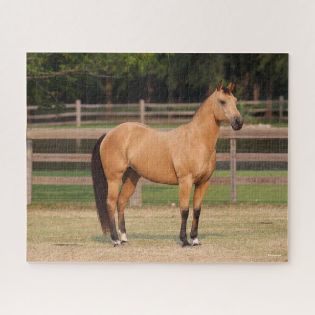 Bob Langrish | Buckskin Quarter Horse Standing Jigsaw Puzzle (Horizontal)