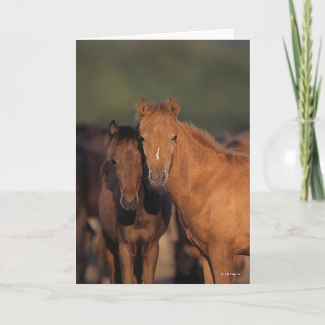 Bob Langrish Caspian Pony Foals Standing Together Card (Front)