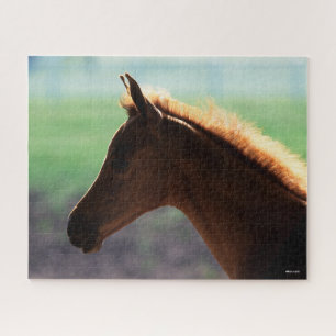 Bob Langrish Chestnut Arab Foal backlit Headshot Jigsaw Puzzle