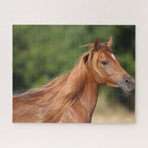 Bob Langrish Chestnut Arab Headshot Mane Flowing Jigsaw Puzzle