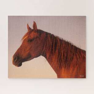 Bob Langrish   Chestnut Arab Horse Headshot Sunset Jigsaw Puzzle