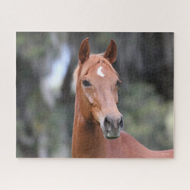 Bob Langrish | Chestnut Oldenburg Headshot Jigsaw Puzzle (Horizontal)