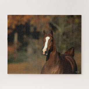Bob Langrish Chestnut Thoroughbred Headshot Jigsaw Puzzle