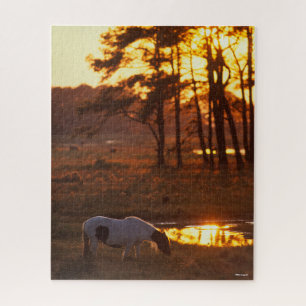 Bob Langrish Chincoteague Horse Grazing At Sunset Jigsaw Puzzle