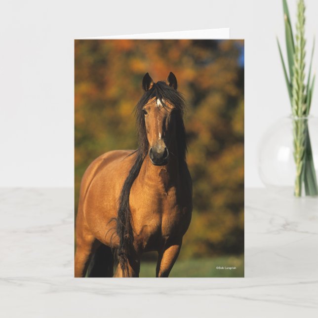Bob Langrish | Chocktaw Pony Standing Headshot Card (Front)