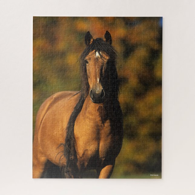 Bob Langrish | Chocktaw Pony Standing Headshot Jigsaw Puzzle (Vertical)