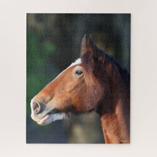 Bob Langrish Clydesdale headshot Jigsaw Puzzle