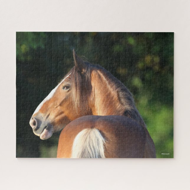 Bob Langrish | Clydesdale Horse headshot Jigsaw Puzzle (Horizontal)