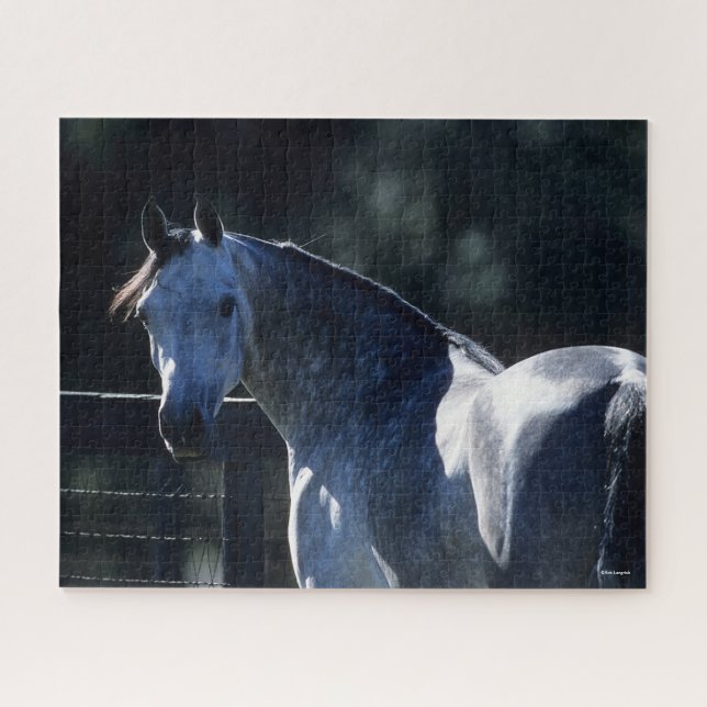 Bob Langrish | Dapple Grey Arab Headshot Backlit Jigsaw Puzzle (Horizontal)