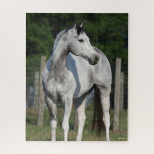 Bob Langrish   Dapple Grey Quarter Horse Standing Jigsaw Puzzle