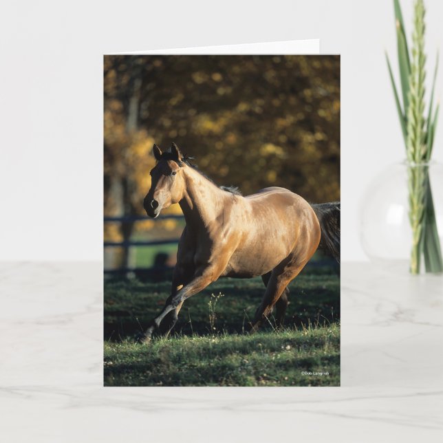 Bob Langrish | Dun Quarter Horse Running Card (Front)
