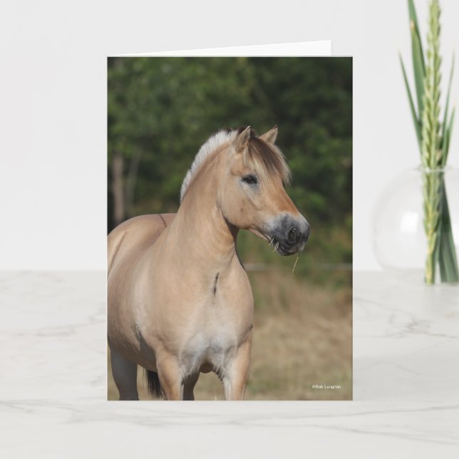 Bob Langrish | Fjord Horse Standing Headshot Card (Front)