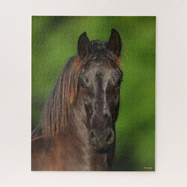 Bob Langrish | Friesian Horse Headshot Jigsaw Puzzle (Vertical)