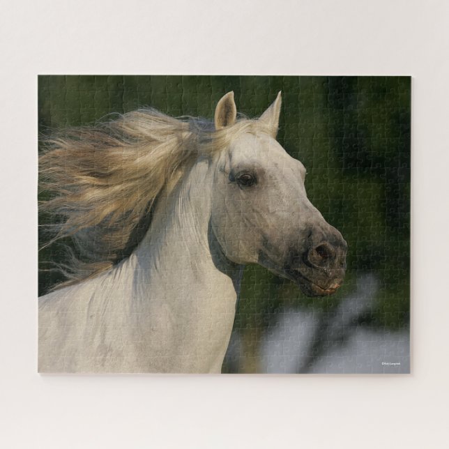 Bob Langrish Grey Andalucian Headshot Mane Flowing Jigsaw Puzzle (Horizontal)