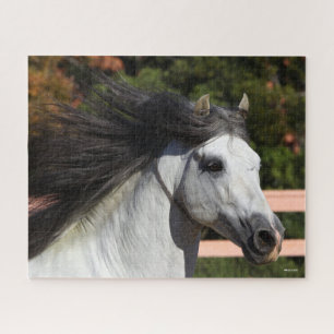 Bob Langrish   Grey Andalucian Stallion Headshot 3 Jigsaw Puzzle