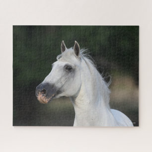 Bob Langrish   Grey Andalucian Stallion Headshot 6 Jigsaw Puzzle