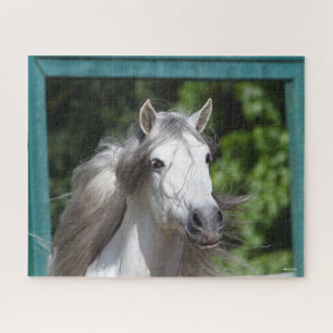 Bob Langrish   Grey Andalucian Stallion Headshot Jigsaw Puzzle