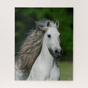 Bob Langrish   Grey Andalucian Stallion headshot Jigsaw Puzzle
